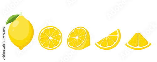 Fresh lemon fruit. Collection of lemon vector icons isolated on white background. Vector illustration