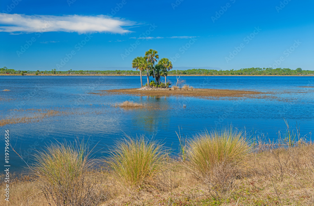 Serene Vista in a Wildlife Refuge Wetland