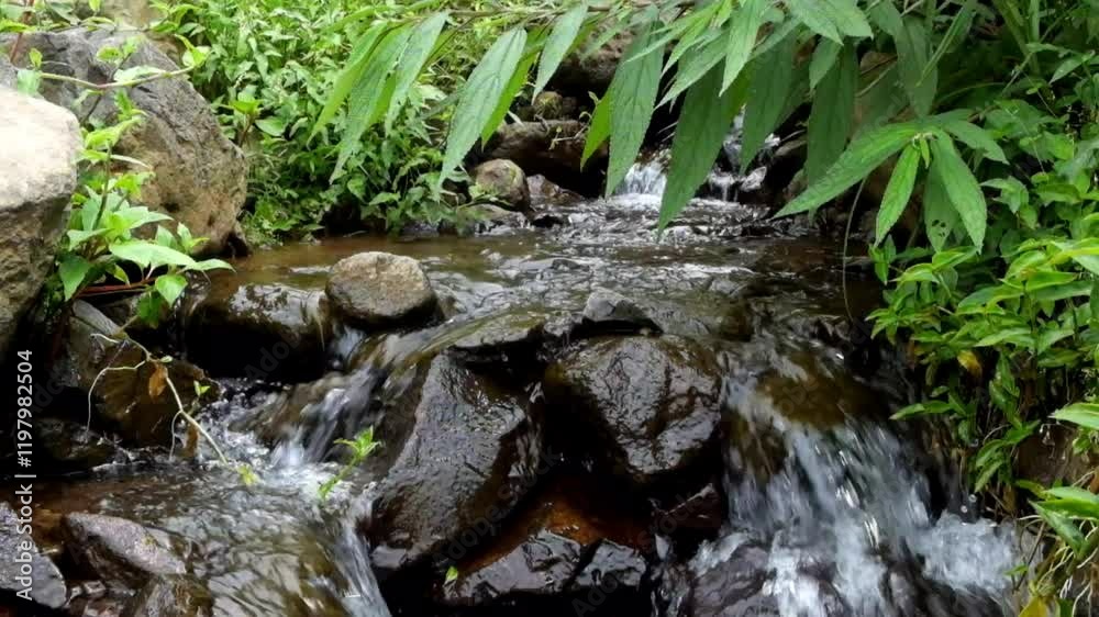 View of a mountain river with clear water flowing between rocks and wild grass. Nature and environmental concepts. Calm and peaceful atmosphere for relaxation. Green and sustainable ecology. 4K.60Fps View of a mountain river with clear water flowing between rocks and wild grass. Nature and environmental concepts. Calm and peaceful atmosphere for relaxation. Green and sustainable ecology. 4K.60Fps