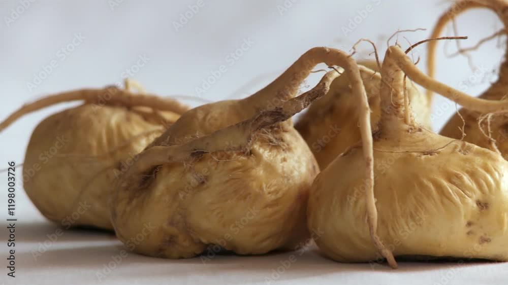 Maca (Peru-Ginseng). Still-life with a white background
