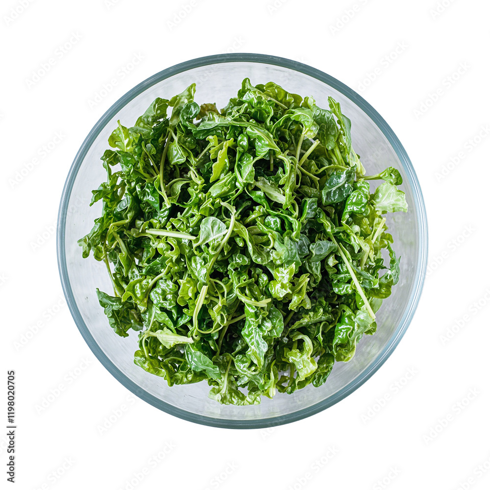 Fresh vibrant salad greens in clear bowl on gray surface Fresh vibrant salad greens in clear bowl on gray surface