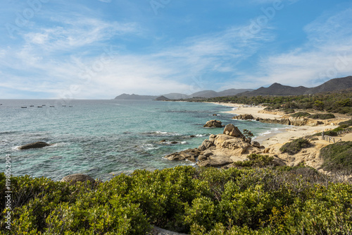 Obraz na płótnie The famous beach of Costa Rei in Sardinia with turquoise and transparent water w salonie