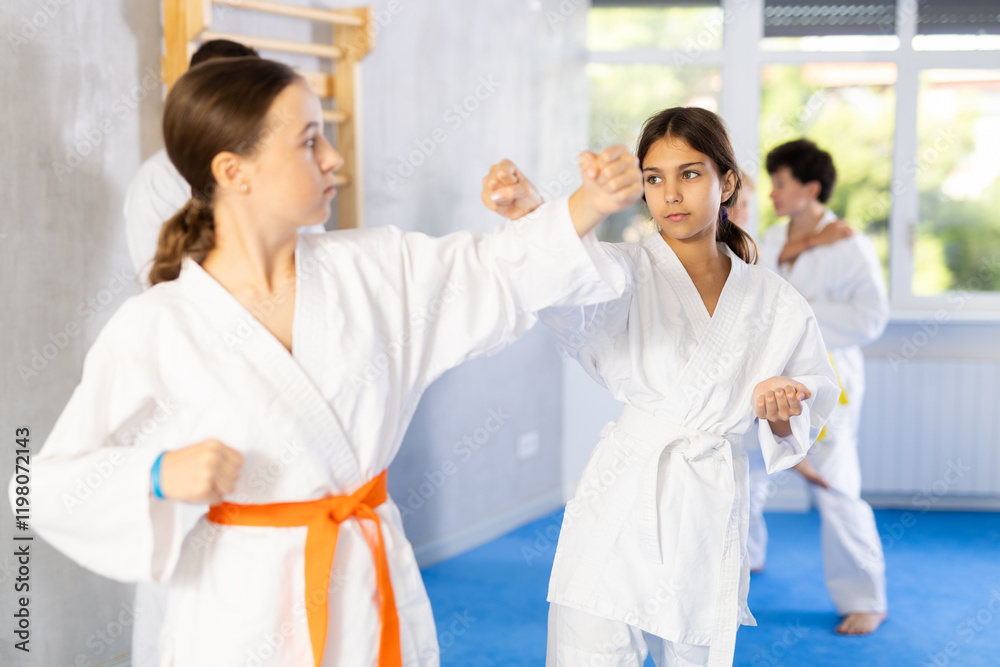 Two girls in kimonos practice karate techniques in group at gym Two girls in kimonos practice karate techniques in group at gym
