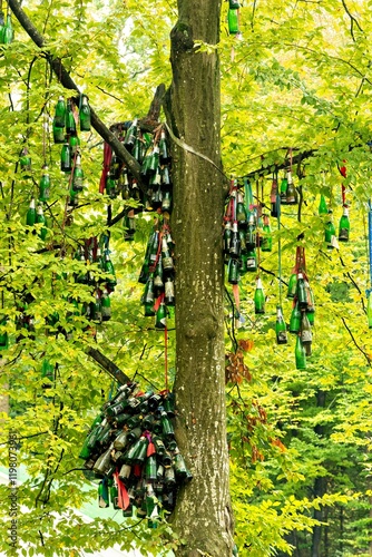 A tree with a bunch of bottles hanging from it's branches photo