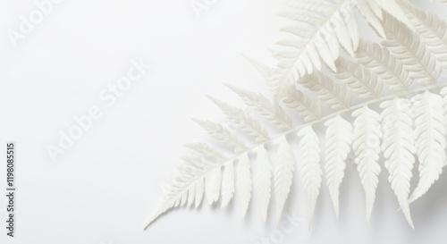 Close-up of minimalistic white fern leaves on light background