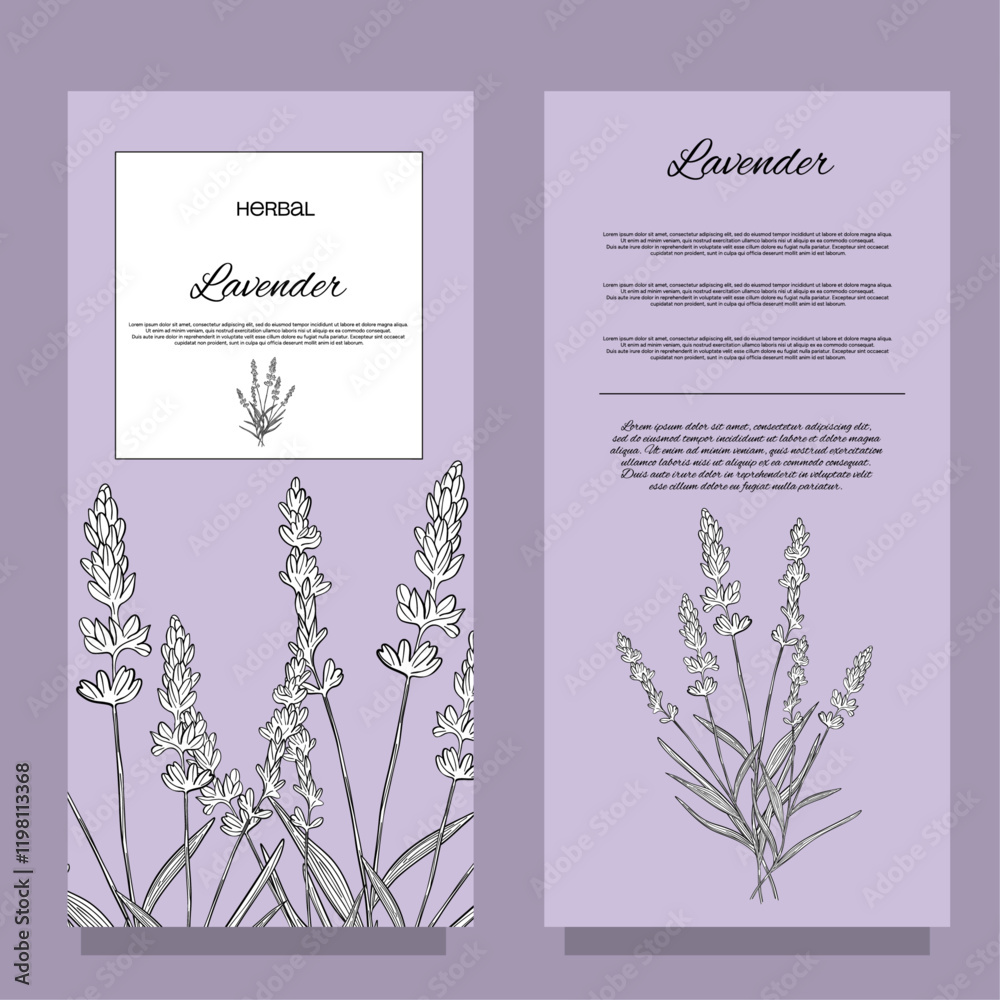 Stickers label Aroma herbal lavender purple flower natural relaxation in aromatherapy, tea, medicine, candle, decor 