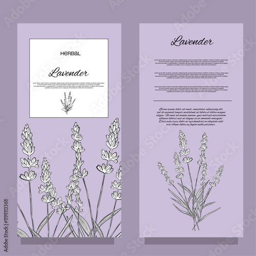 Stickers label Aroma herbal lavender purple flower natural relaxation in aromatherapy, tea, medicine, candle, decor 