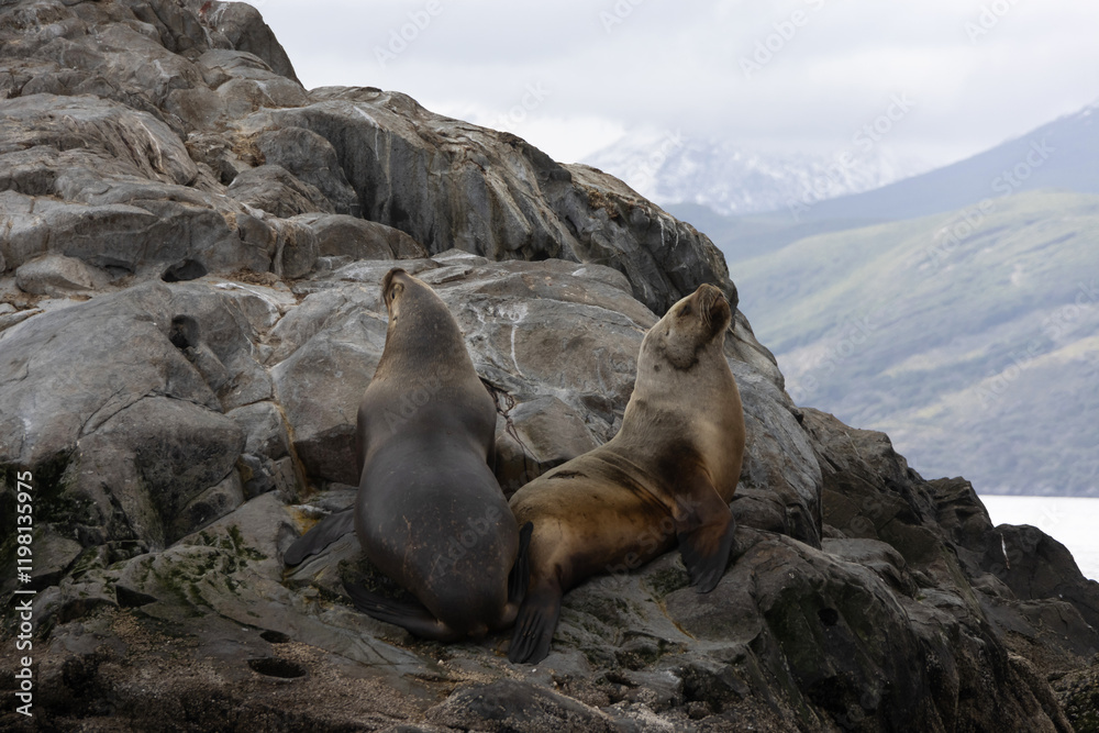 Fototapeta premium perfect cute models