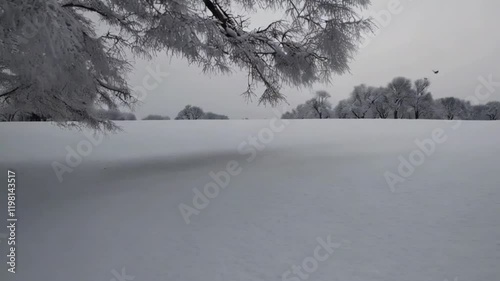 Enchanting Winter Wonderland Snow Covered Forest and Frosty Landscape