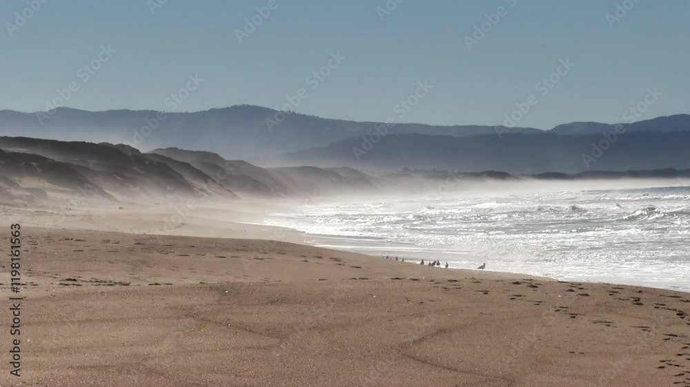 Distant Fog Drifting Over Sand Beach And Cliffs Marina California With Small Group Of Seagulls
Distant Fog Drifting Over Sand Beach And Cliffs Marina California With Small Group Of Seagulls