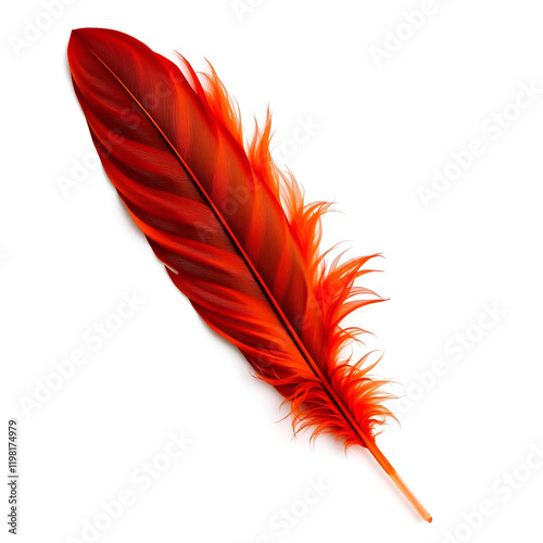 vibrant red phoenix feather with intricate details, isolated on white background, symbolizing rebirth and immortality photo