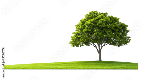 [Minimalist digital landscape with trees in a gradient background] Simplified Minimalist Digital Landscape with Trees Against Gradient Background