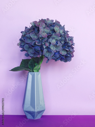 Blue hydrangea flower in vase on purple background. Blue hortensia flower in full bloom. Hydrangea flower layout. Purple aesthetic background or layout. Violet backdrop. Vibrant petals. Floral card.