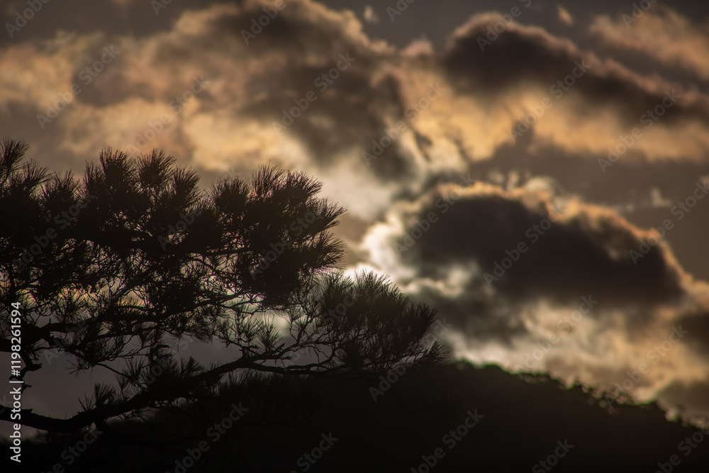 Fototapeta premium 夜明け前の奄美大島龍郷湾