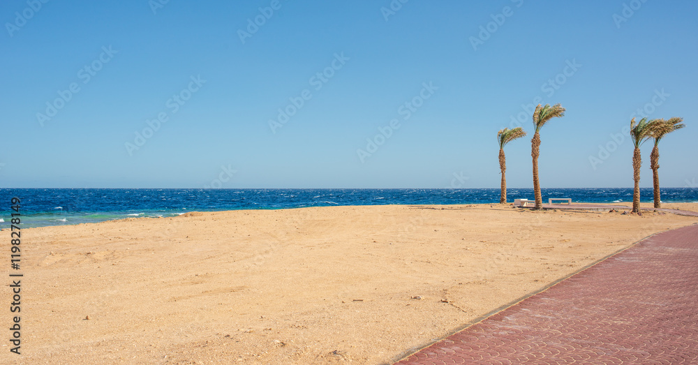 beautiful views of the coast of sunny sahl hasheesh for background beautiful views of the coast of sunny sahl hasheesh for background