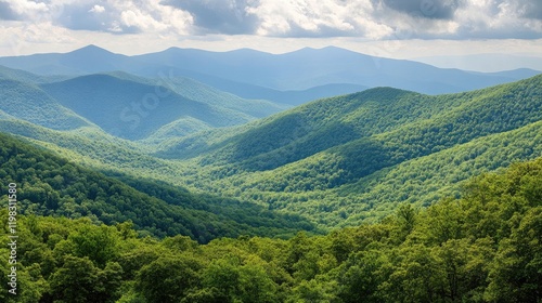 A breathtaking view of summer mountains with dense forests and rocky peaks.