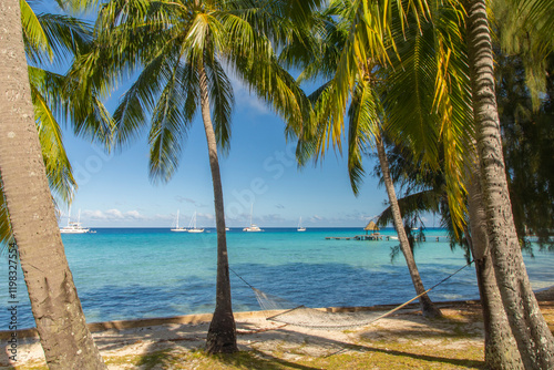 French Polynesia, Rangiroa Atoll. Hammock.