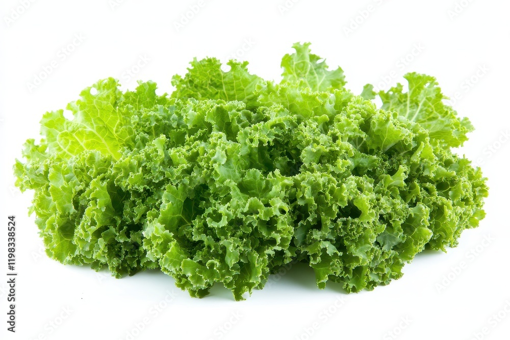 New napa cabbage on white background New napa cabbage on white background