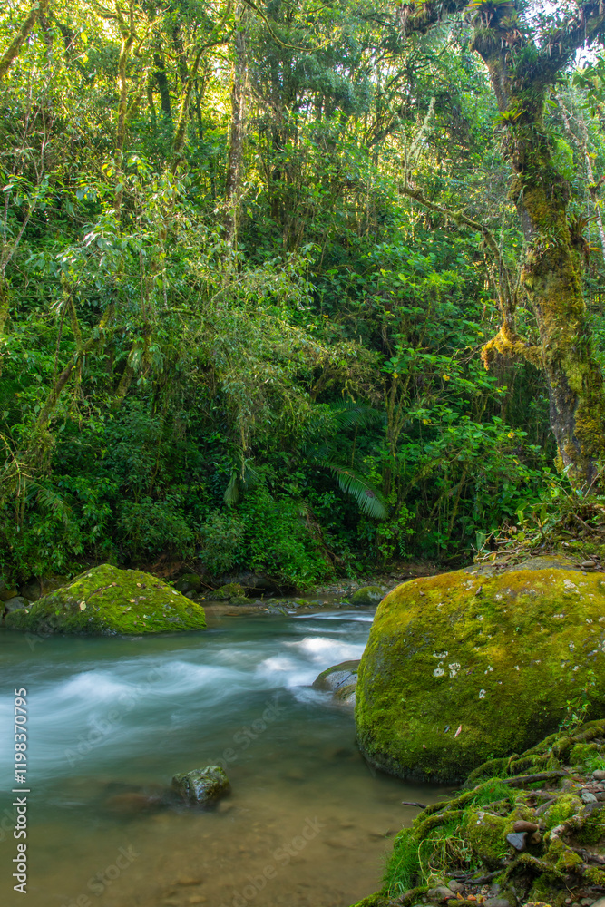 Costa Rica, Cordillera de Talamanca. Savegre River rapids. Costa Rica, Cordillera de Talamanca. Savegre River rapids.