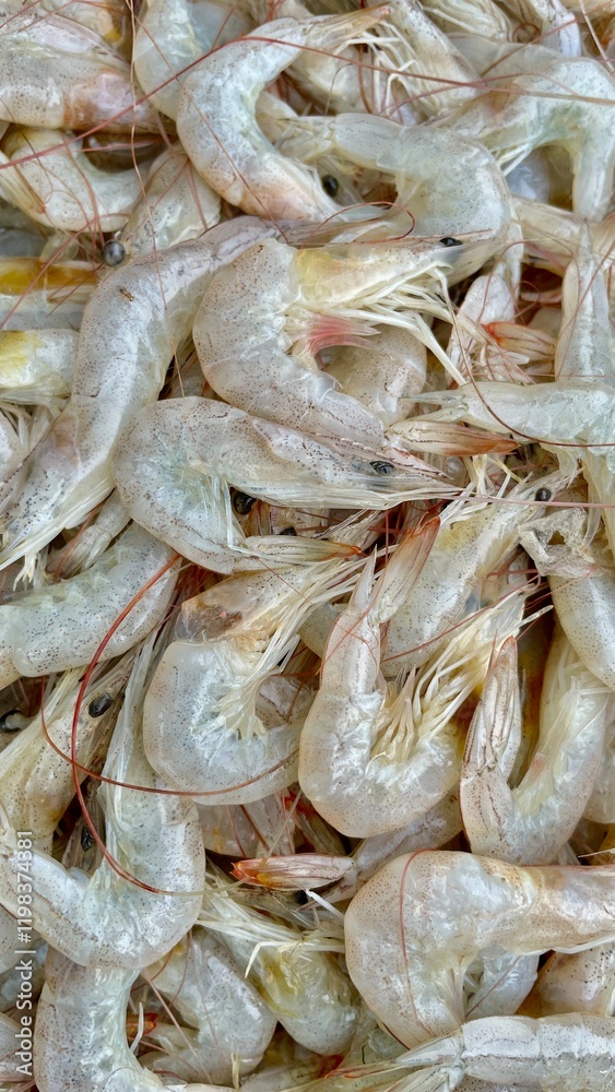 fresh shrimps