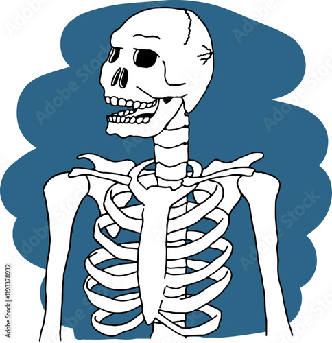 skull with open mouth and upper part of human skeleton on blue background