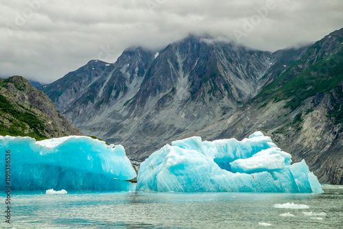 USA, Alaska, Glacier Bay National Park. Icebergs from McBride Glacier.