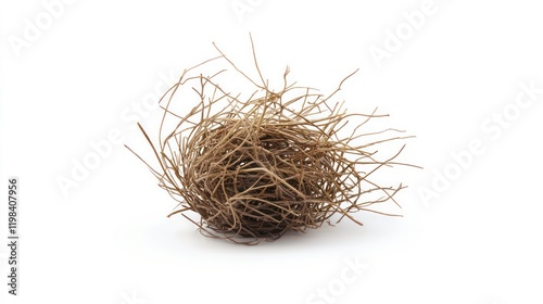 one single tumbleweed isolated on white background