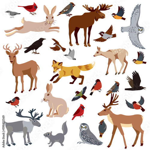 vector drawing set of European animals and birds isolated at white background, hand drawn illustration