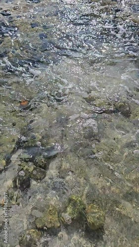 Wave over shallow water. 