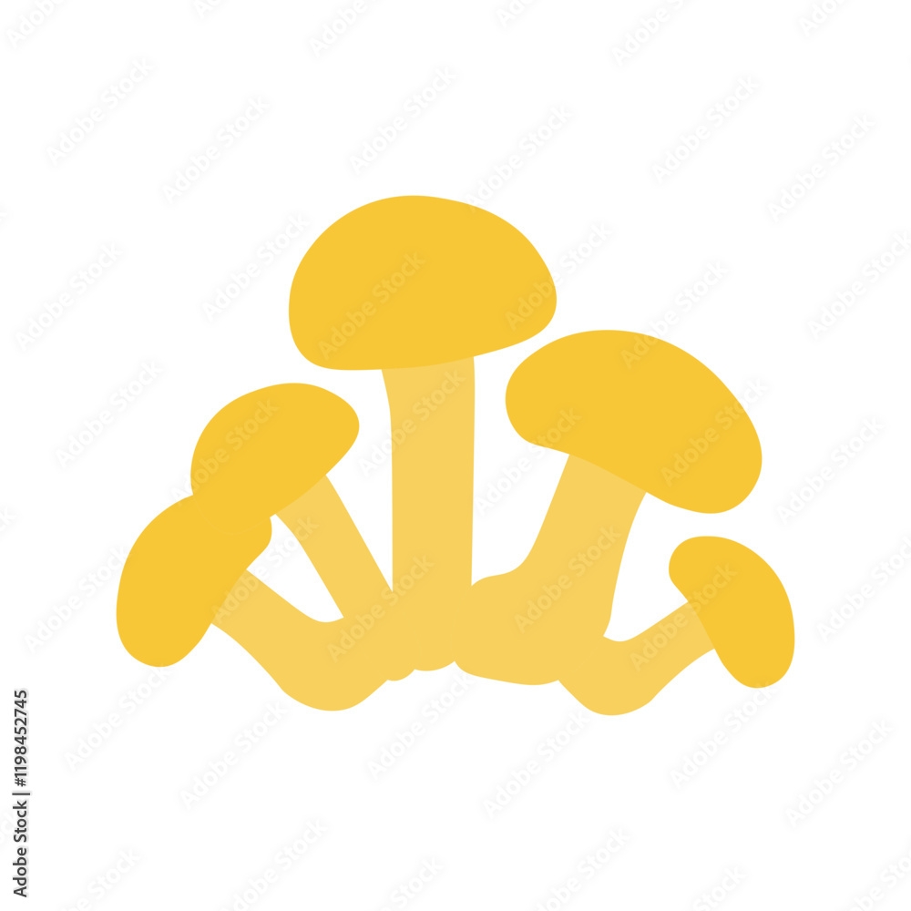 Fototapeta premium basidiomycota