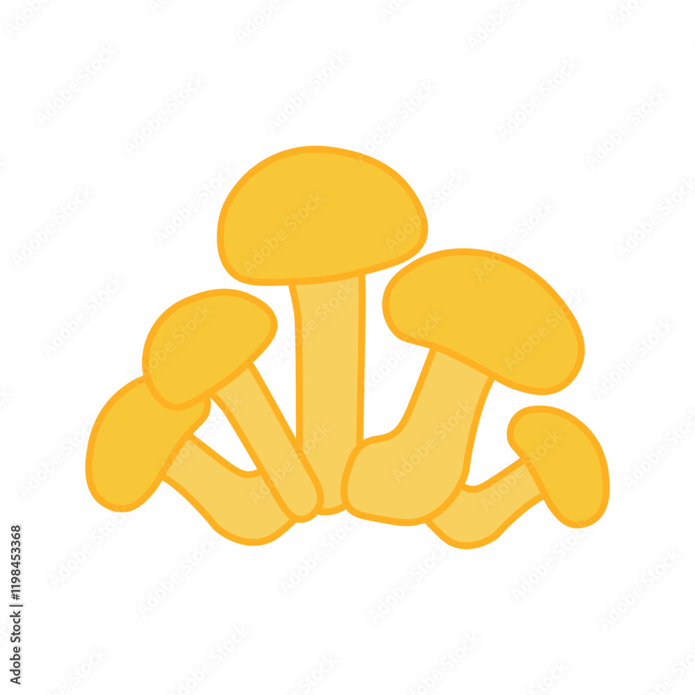 Fototapeta premium basidiomycota