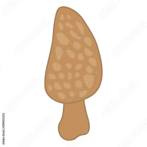 Ascomycota