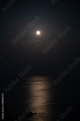 SEA LANDSCAPE