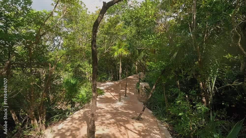 Aerial view of a tranquil path in a lush green forest landscape Aerial view of a tranquil path in a lush green forest landscape