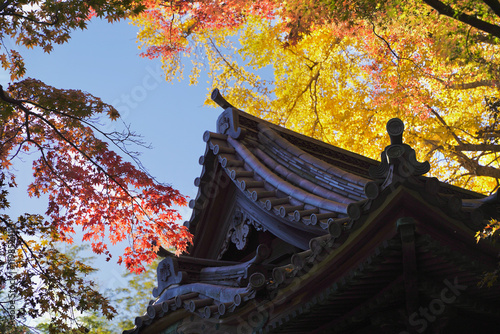 日本の横浜の冬の日本庭園。 photo