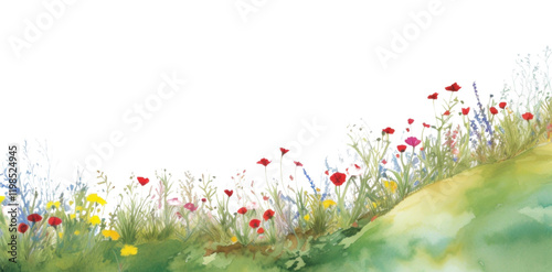 PNG Wildflower with hill boarder backgrounds grassland outdoors.
