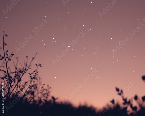 Serene Dusk Sky with Twinkling Stars and Silhouetted Foliage.