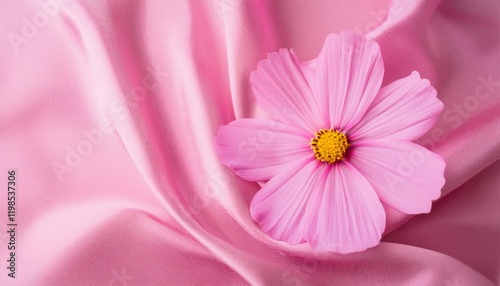 Pink Cosmos Flower on a Draped Soft Pink Silk Fabric