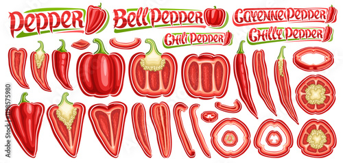 Vector Red Pepper Set
