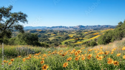 Rolling hills, wildflowers, and a vibrant landscape under a clear blue sky.