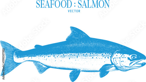 Vintage style detailed seafood illustration, hand-drawn etching style, antique engraving style.