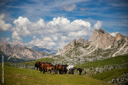 Horses in the beautiful Dolomites photo