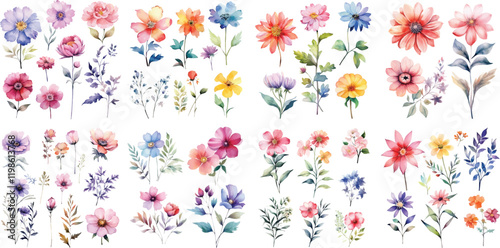 A Big watercolor floral package collection. Use by fabric, fashion, wedding invitation, template, poster, romance, greeting, spring, bouquet, pattern, decoration and textile.	