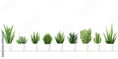 Collection of potted succulents and cacti arranged in a row on a white surface. photo