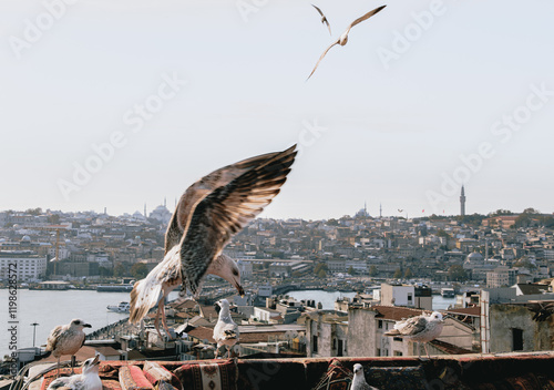 View of the city of Istanbul through flying seagulls. The city is in focus, the seagulls are out of focus. Travelling in Turkey. tourist destinations. postcards of Istanbul. architecture and culture. photo