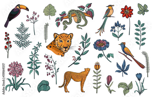 Vector wet of wild animals, tropical plants and flowers, toucan, exotic birds
