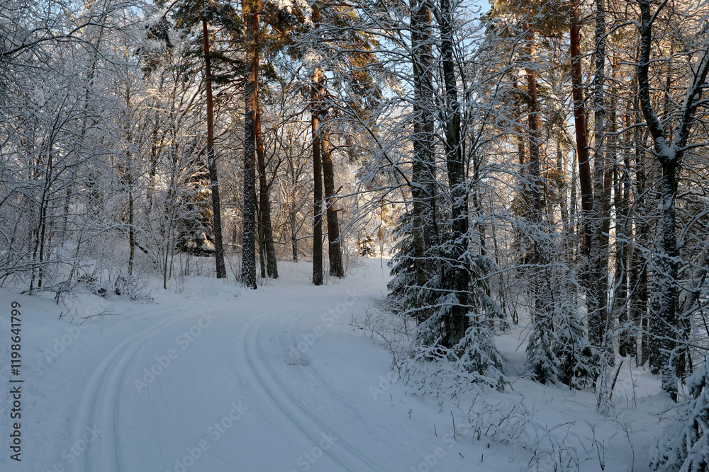 Fototapeta premium Winter