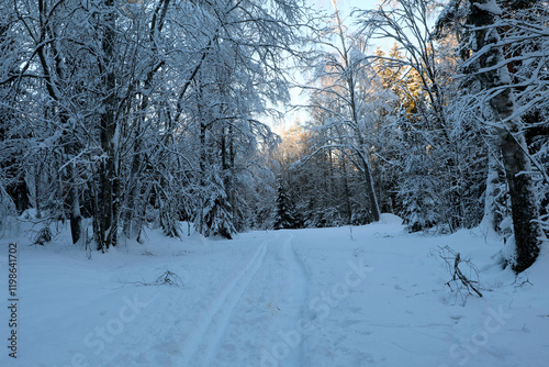 Photography Winter