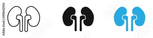 Kidney icon black white vector outline