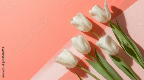 78.A modern flat lay featuring white tulips placed diagonally along the edges of a paper card, with subtle texture on the background for a fresh and refined composition. photo